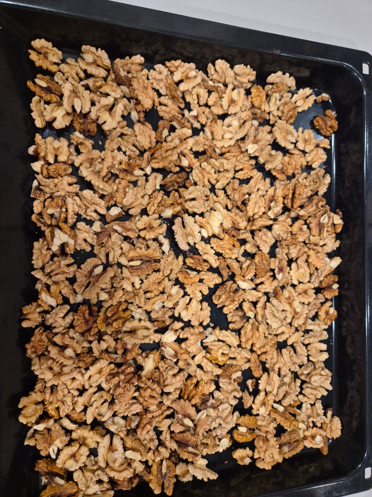 Walnussernte in der Region