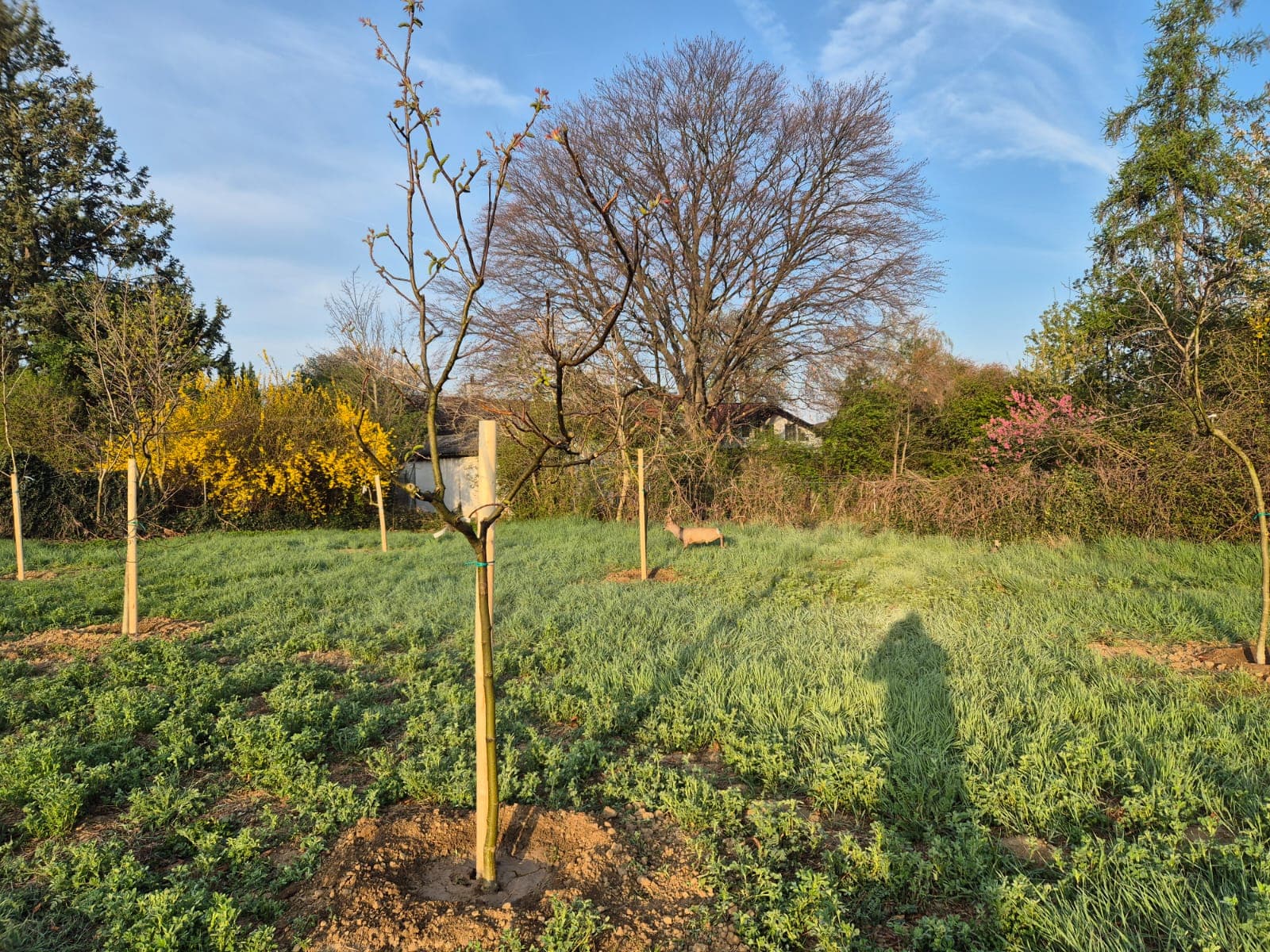 Handverlesene Qualität